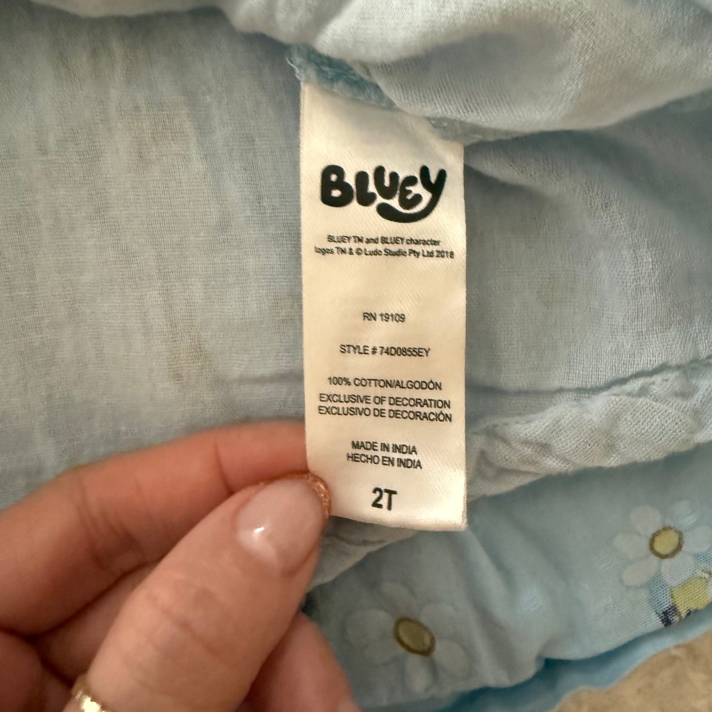 2t Preloved Bluey Dress