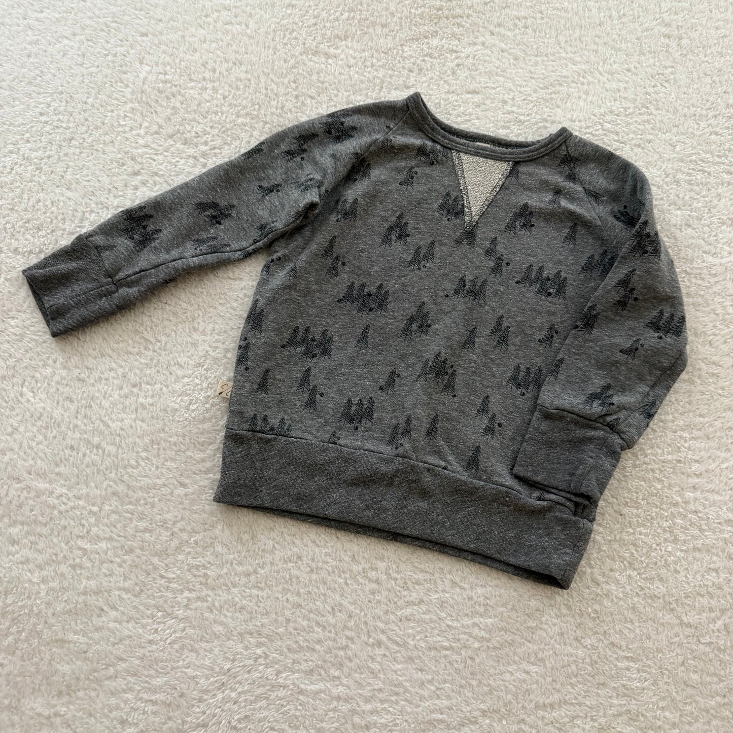 4t Preloved Childhoods Sweatshirt