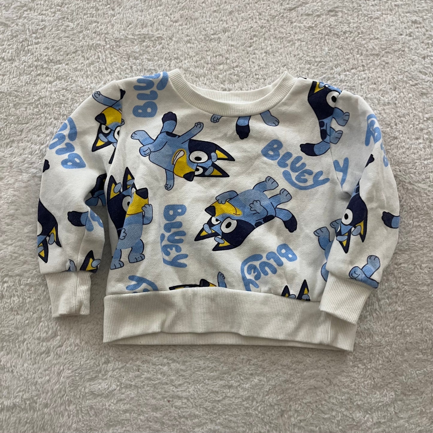 12m Bluey Sweatshirt